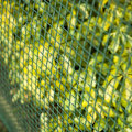 Miniatyrbild 4 av 4: Nature Staketväv fyrkantig mesh 5x5 mm 1x3 m grön Grön