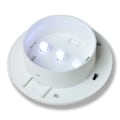 Miniatyrbild 7 av 9: vidaXL Ytterbelysning LED Vit 6-pack Solcell Vit