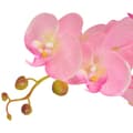 vidaXL Konstväxt Orkidé med kruka 65 cm rosa Rosa