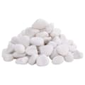vidaXL Polerad småsten 25 kg vit 2-5 cm Vit