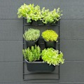 Miniatyrbild 4 av 4: Nature Vertikalt odlingssystem väggmonterat Svart