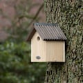 Miniatyrbild 10 av 10: Esschert Design Fågelholk blåmes multifärg