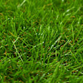 Miniatyrbild 2 av 3: vidaXL Konstgräsmatta 1x15 m/40 mm grön Grön
