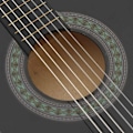 Miniatyrbild 7 av 10: vidaXL Klassisk gitarr för nybörjare 8 delar svart 1/2 34" Svart