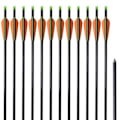 Miniatyrbild 1 av 5: vidaXL Pilar i fiberglas för compoundbåge standard 30"" 0,8 cm 12-pack multifärg