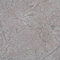 Miniatyrbild 4 av 6: vidaXL Självhäftande PVC-golvplankor 5,21 m² 2 mm jordgrå grå