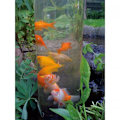 Miniatyrbild 3 av 4: Ubbink Fisktorn 66 cm akryl 1372161