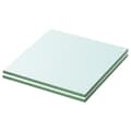 vidaXL Hyllplan 2 st glas genomskinlig 20x15 cm Transparent