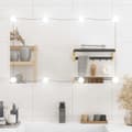 vidaXL Väggspegel med LED-belysning 50x80 cm glas rektangulär Silver