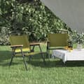 vidaXL Campingstolar 2 st grön 54x43x59cm oxfordtyg Grön