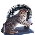 Miniatyrbild 1 av 4: Pets Collection Pälsbåge Grå