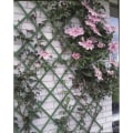 Miniatyrbild 1 av 7: Nature Trädgårdsspaljé 50x150 cm PVC grön 6040702 Grön