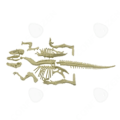 Miniatyrbillede 3 af 4: C® TD dinosaur skeletal model at samle realistisk legetøj arkæologisk udgravning børn fossiler dreng pige tyrannosaurus konstruktion