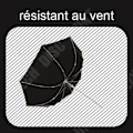 Miniatyrbild 2 av 4: TD® Large XXL kupol transparent automatiskt paraply - paraply för två - paraply för par - Vindtätt paraply