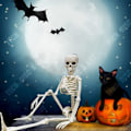 Miniatyrbillede 4 af 4: TD® Halloween dekoration halloween Skelet Skelet 40cm Simulation Menneske Skelet i Plast Scene Arrangement Rekvisitter