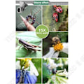Miniatyrbillede 4 af 4: TD® Objektiv Vidvinkel 3 i 1 smartphone 12X optisk zoom teleskop kamera objektiv teleskop mobiltelefon sort farve