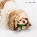 Miniatyrbild 4 av 4: TD® Plush Puppy Toy Interactive Piper Hundleksak för rengöring av gummitänder, hållbar tuggleksak för små