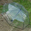 Miniatyrbillede 4 af 4: TD® Transparent paraply Automatisk regnparaply til kvinder og mænd beskyttelse mod regn diameter 93 cm