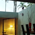 Miniatyrbillede 4 af 4: Udesolcellelampe med 60 LED - HIGH-TECH & VELVÆRE - Sort - 420 lumen - Genopladeligt batteri Svart