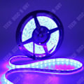 Pikkukuva 3 / 4: Joustava LED-valonauha - TD® - 5m - Vedelle kestävä - Sisustus ja ulkokäyttöön