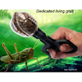 Miniatyrbillede 2 af 4: TD® insektfangst, maddispenser til insekter, tang til orm, edderkopper, krybdyr, sommerfugle, billige saks sæt