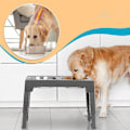 Miniatyrbild 2 av 4: Djurmatare - TD® - 44x27,9x29cm - Rostfritt stål - Justerbar - 1100ml Svart