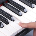 Miniatyrbillede 2 af 4: INN Multifunktionelt elektronisk klaver med 61 tangenter, mikrofon, mikrofon, elektrisk klaver, musikinstrument legetøj til