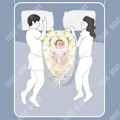 Miniatyrbild 3 av 4: TD® Cradle medium säng avtagbar och tvättbar tecknad babysäng i bomull bärbar antitryckssäng multifunktionell hopfällbar säng bionisk