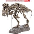 Miniatyrbillede 1 af 4: Tyrannosaurus Rex Skelet Dinosaur Dyr Samler Dekor Model Legetøj Dinosaur Skelet Model