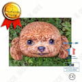 Miniatyrbillede 4 af 4: TD® Hundehoved-formet pude / 3D Kreativ sød bamse gave Hjem Deko / Stue sofa