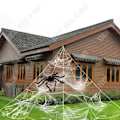 Miniatyrbild 4 av 4: TD® Halloween-dekoration superfjäderformade triangulära spindelnät-festdekorationer online 7,*5,5 m