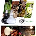 Miniatyrbillede 4 af 4: E27 100W Infrarød Varme lampe UVA Terrarium Vivarium Reptil Varme Sort