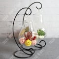 Miniatyrbillede 3 af 4: TD® Vase dekoration design i klart glas smedet jern bryllup kontor i potte kreativ hængende kugle gave pynt blomster origina