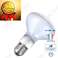 Miniatyrbillede 1 af 4: TD® Lampe Ampoule E27 100W Termisk Infrarød UVA - Terrarium Vivarium Varme Hvid - Skinnende og Lysende - tungsten halogen