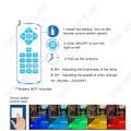 Miniatyrbild 3 av 4: Pool projector - TECH DISCOUNT - PAR56 - LED RGB - Waterproof IP68 - Remote control included RGB