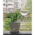 Miniatyrbillede 3 af 4: TD® vandingsfugle til flere dages brug vandkande planter udendørs indendørs have mundblæst glas håndværk nem at bruge