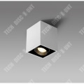 Pikkukuva 1 / 4: TD® ALTRA DICE, APPLIQUE GU10 35W MAX,ENT