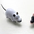 Miniatyrbild 3 av 4: Kattens leksak - TD® - Elektronisk mus - Mekanisk - Interaktiv - Hållbar