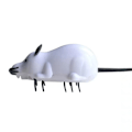 Miniatyrbild 1 av 4: Kattens leksak - TD® - Elektronisk mus - Mekanisk - Interaktiv - Hållbar