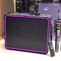 Miniatyrbild 2 av 4: TD® Bluetooth-högtalare 8-tums bärbar utomhus trådlös bärbar ljuduppspelningsmikrofon subwoofer