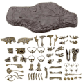 Miniatyrbillede 2 af 4: Tyrannosaurus Rex Skelet Dinosaur Dyr Samler Dekor Model Legetøj Dinosaur Skelet Model
