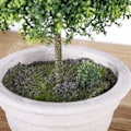 Miniatyrbillede 2 af 4: TD® Nordic falske grønne planter runde potteplanter til hjemmet indendørs stue dekoration stor simulering af jord potteplante pla