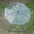 Miniatyrbillede 3 af 4: TD® Transparent paraply Automatisk regnparaply til kvinder og mænd beskyttelse mod regn diameter 93 cm
