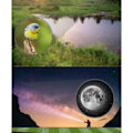 Miniatyrbild 3 av 4: Astronomiskt teleskop - TD® - Monokulär - Zoom 60x - Förstoring 30x/60x - 50 mm objektiv