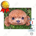 Miniatyrbillede 1 af 4: TD® Hundehoved-formet pude / 3D Kreativ sød bamse gave Hjem Deko / Stue sofa
