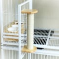 Pikkukuva 2 / 4: TD® Kissan puu beige luonnollisesta sisalista, lemmikki- ja eläintarvike, korkeus 35 cm x 6, puun väri