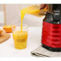 Miniatyrbillede 4 af 4: TD® Citruspresser Professionel Maskine til Koldpresset Frugtjuice Større Maskine til Saftseparation