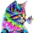 Hett 5D DIY Full Diamond Katt 30 x 30cm, Strass Diamantmålning K