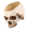 A Resin Skull Flower Pot