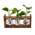 Hydroponisk glasvasuppsättning med träram - 3-håls Pothos-planterare